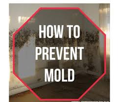 mold prevention tips